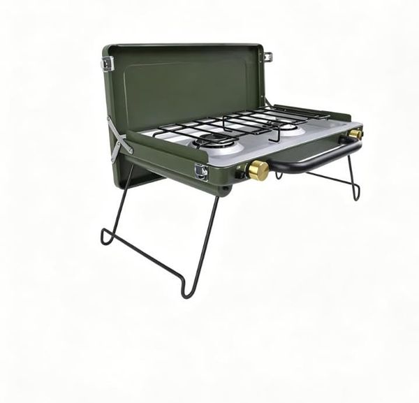 Tragbarer 2-Brenner Grill, kleiner Propangasgrill für Camping, tragbarer Gasgrill für Outdoor-Küche, 2.9 kW * 2-green