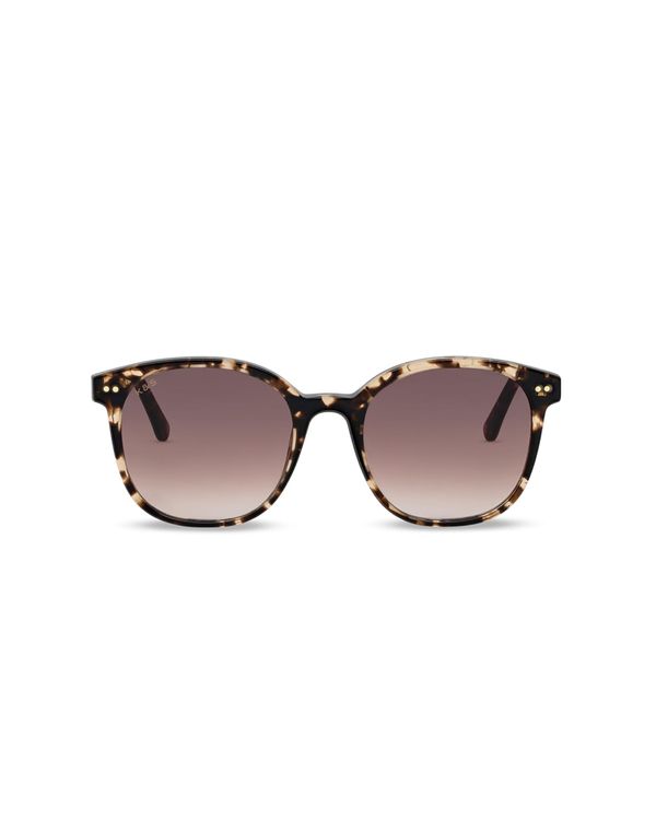 Kapten & Son Sonnenbrille Nairobi & Nairobi Small | Sonnenbrille Damen & Herren mit Sonnen- und UV-Schutz | Stylische, runde Gläserform | Unisex Sunglasses