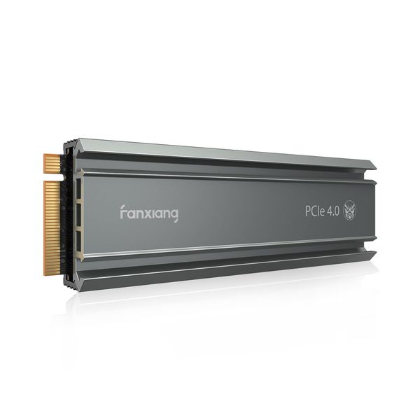 fanxiang S660 NVMe SSD 500 GB PCIe 4.0 mit Kühlkörper (PS5)
