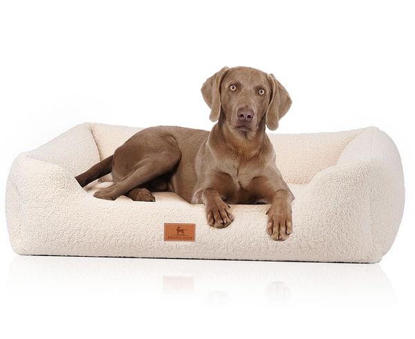 Knuffelwuff orthopädisches Hundebett aus kuscheligem Teddy Material Wollekopp M-L 85 x 63cm Beige | Abnehmbarer Bezug | waschbar | für große, mittelgroße und kleine Hunde