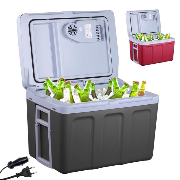 Arebos 40 L elektrische Kühlbox (12/230 V)