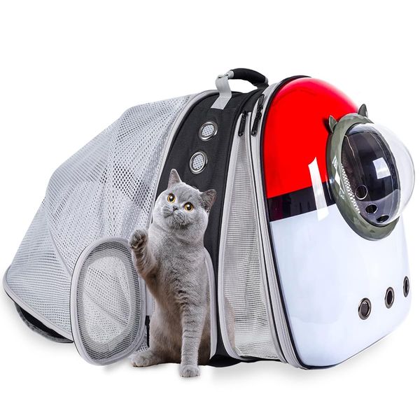 Katzenrucksack