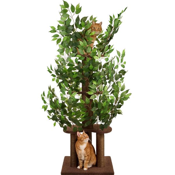 Kratzbaum mit Blättern – Stabiler & Platzsparender Katzenbaum – 4 kratzbare Ebenen & 3 Kratzsäulen – Klettern, Verstecken, Schlafen – Einfac